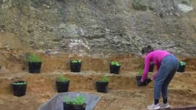 #乡下农村生活 #荒野建造 #三农 #农村生活 #美女