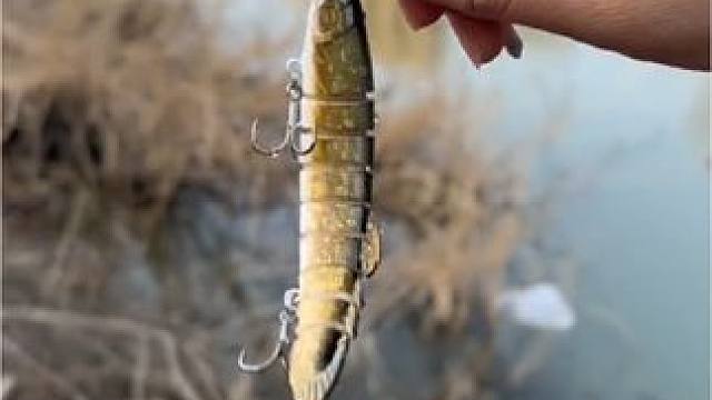 #路亚假饵 仿真多节泥鳅，桂鱼，翘嘴，鲈鱼#好货推荐