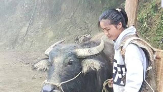 #记录我的乡村生活 #放牛的生活 #田园生活