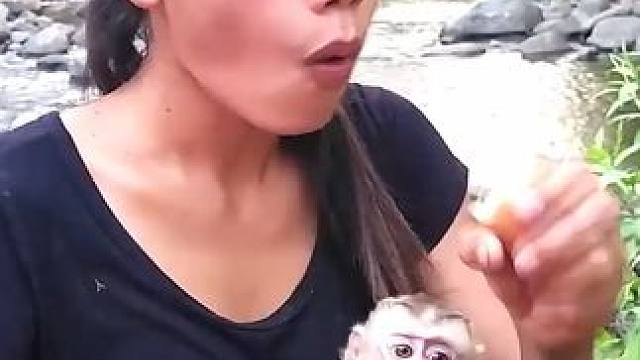 鸡翅烧烤与辣椒一起吃 #户外烹饪 #好吃到停不下来 #大山里的味道 #荒野厨王 #生活的烟火气息