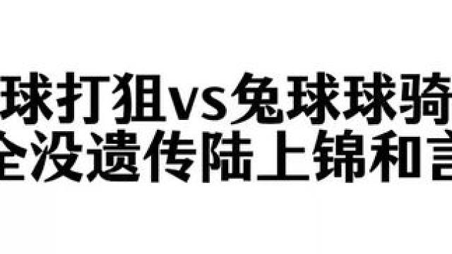 兔球球打狙vs兔球球骑机车#人鱼陷落