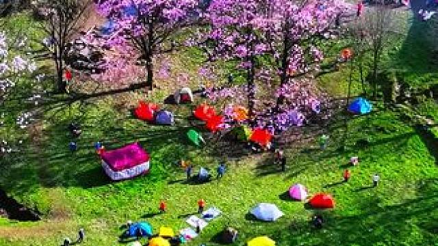 接下来藏王寨大屋基将会是这样的#一不小心就误入仙境了 #春天的色彩 #春天一定不能错过的美景 #唯美