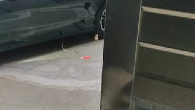 我发布了一个新视频，快来围观吧！