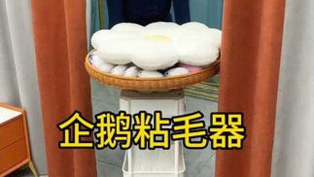 神奇的粘毛器 神奇的粘毛器!不仅能轻松清理头发和猫猫狗狗掉落的毛发，水一冲就干净能继续用了 #粘毛神