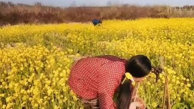 山卡卡里的农村大姐学费了开直播每天收获满满您还在恐播怕播不敢开播开播了不知说什么吗#记录真实生活 #