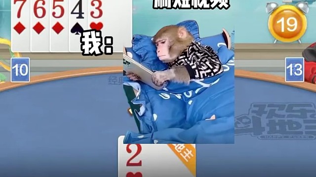 当我就剩下一张牌时...  