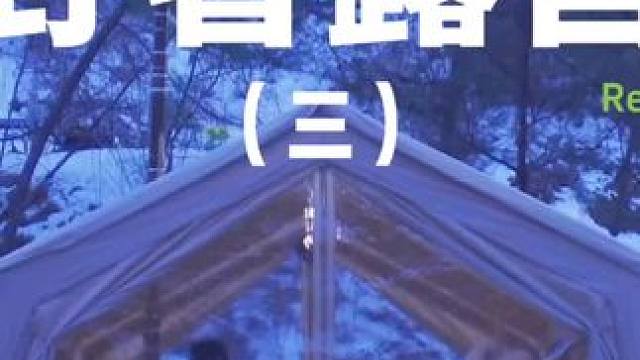 野奢露营（三）#露营 #助眠 #解压 #修狗 #户外露营