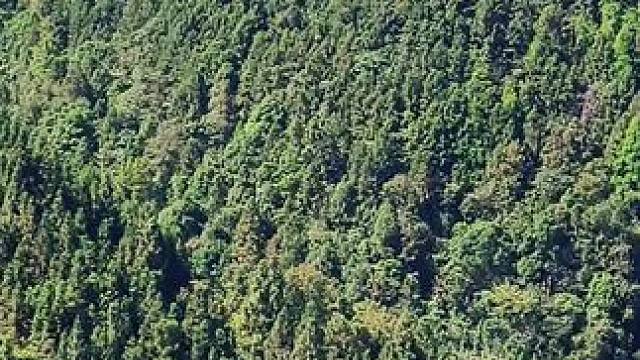 有车还方便点，没有车，赶集都是噩梦，太远了，就怕晚上有个风吹草动，叫天天不应叫地地不灵#大山里的原生