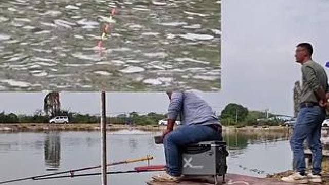 想买根5.4米的大物竿，钓友们介绍一款鱼竿可以吗？#钓鱼 #黑坑青鱼 #