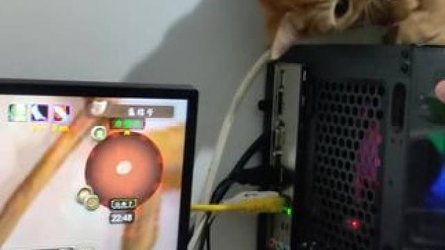 搜索:怎么判断一只猫是不是弱智… 每次玩游戏都来捣乱#魔兽世界