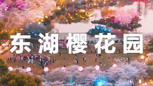 武汉东湖樱花即将盛开，3月来东湖邂逅浪漫春天 #武汉 #东湖 #樱花 #航拍
