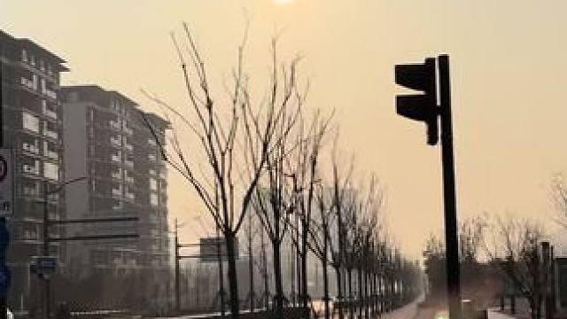 #教师日常生活 拳击退役运动员转型体育教师的一天#校园vlog #记录校园生活 #体育教师