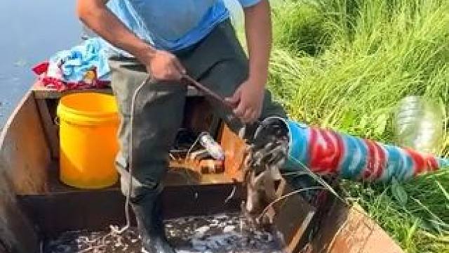 #户外捕鱼 #好多鱼