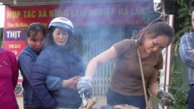 #乡下农村生活 #荒野建造 #三农 #农村生活 #美女