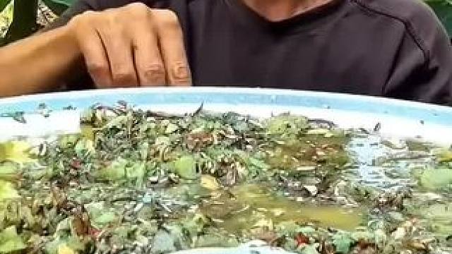 越南特色菜吃（鱼生） #越南美食#越南生活#越南特色美食