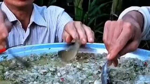 越南特色鱼生 #越南美食#越南鱼生#越南生活#东南亚美食