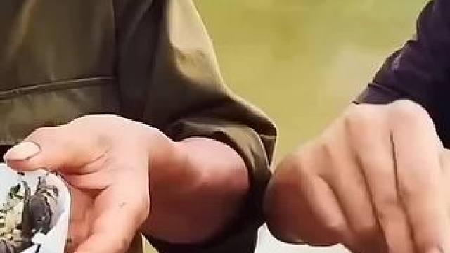 越南特色美食凉拌螃蟹沙拉 #越南美食#越南特色美食#越南生活