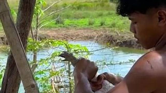 东南亚乡村美食 #东南亚特色美食#户外野餐#田园生活乐趣多 #我的乡村生活 #农村美食记录生活