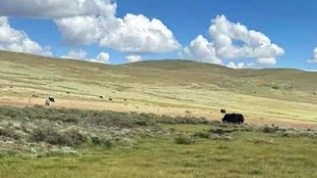 上衣➕连衣裙太划算啦！#连衣裙 #春季新款 #面料柔软舒适 #遮肚子藏肉显瘦连衣裙
