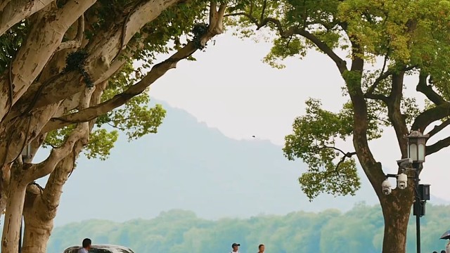 今天是3月1日，我想把三月的第一条祝福送给你