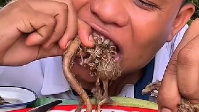 煮的胎盘好香 #户外美食 #美食 #泰国美食 #内容启发搜索