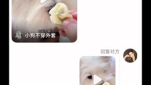 没有人会在大半夜学狗叫，神经病除外#谢谢有被笑到 #哈哈哈哈哈