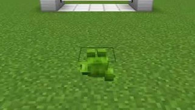 #我的世界 #Minecraft