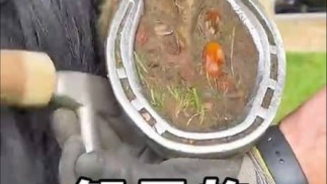 解压的修剪过程#解压 #解压视频 #舒适 #修马蹄