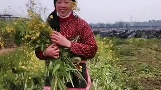 山卡卡里的农村大姐学费了开直播每天收获满满满您还在恐播怕播不敢开播开播了不知说什么吗#记录真实生活 