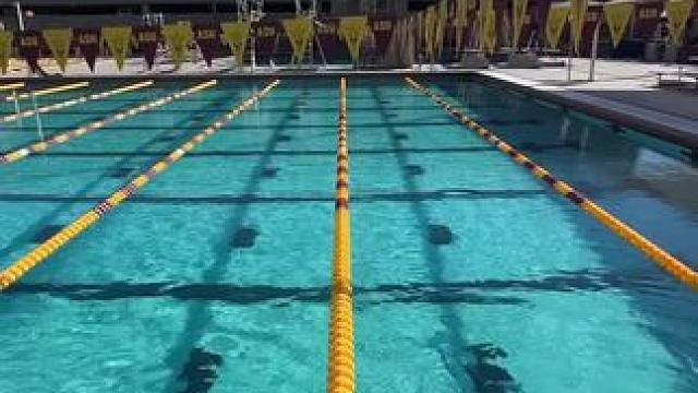 脚蹼游泳的速度太丝滑了吧！ #游泳打卡 #游泳技巧 #海豚腿 #游泳 #游泳训练