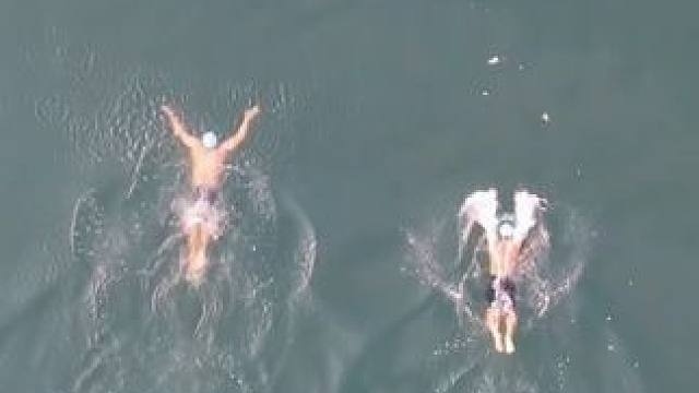 户外也可以蝶泳，长距离蝶泳太费体力了！ #游泳打卡 #游泳技巧 #公开水域游泳 #爱游泳 #