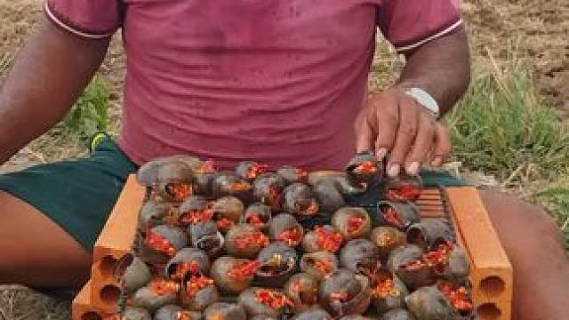 炭烤大田螺 #我的农村生活 #农村美食记录生活 #把家乡的味道分享给大家 #辛勤劳动者记录农村生活 