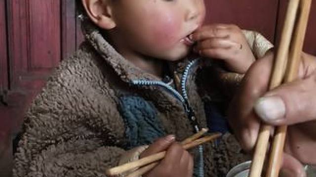 大双吃饭挺有食欲的。 #内容启发搜索