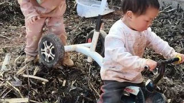 今天把种洋芋的粪弄出来，要种洋芋了。 #内容启发搜索