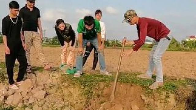 越南六名男子作死，跑到野外挖土洞，最后竟捉住几十条眼镜蛇！ #越南捕蛇人 #眼镜蛇 