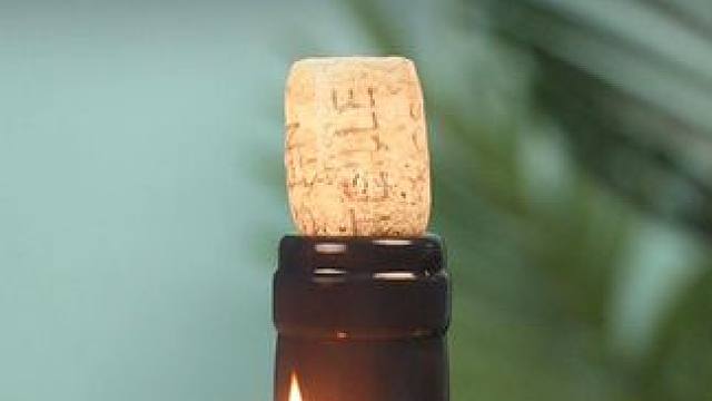 人工智能时代，从小培养孩子的科学思维，打下坚实的物理化基础，提升孩子认知。这里有三百个真实的科学小实