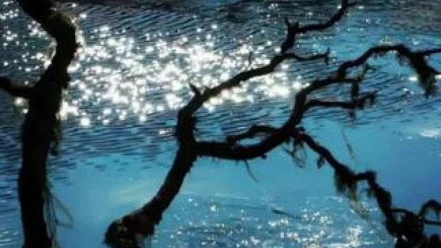 春秋款福利39.9/件、单穿内搭都特别实用#卫衣 #休闲百搭
