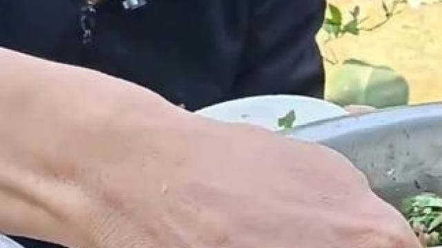 越南特色鱼生 #越南电鱼#越南美食#越南美食重口味 #舌尖上的美食 #农村美食记录生活