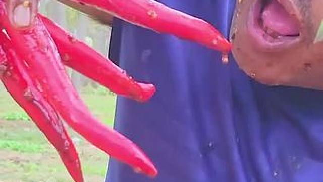 东南亚大叔吃辣椒️ #农村美食记录生活 #把家乡的味道分享给大家 #舌尖上的美食 #晒美食是对平凡生