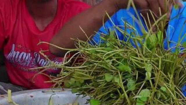 老挝大叔 #舌尖上的美食 #农村美食记录生活 #田园生活乐趣多