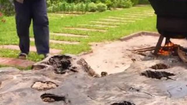 东南亚农场美食 #我的农村生活 #体验原生态美食的乐趣 #农村美食记录生活 #把家乡的味道分享给大家