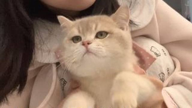 我的叽里呱啦vlog它来喽！！#探店 #vlog #春熙路 #下班后的日常