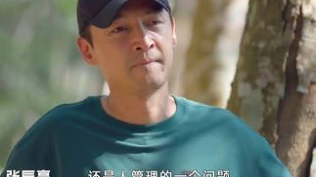 被称为“绿色沙漠”的橡胶林，在人不进行管理任其生长后，反而显示出了生物多样性，大象来了都愿意在里面“