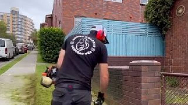 庭院草坪席卷式清除修剪。#解压视频 #强迫症看了很享受 #极度舒适 #舒服又解压 #解压