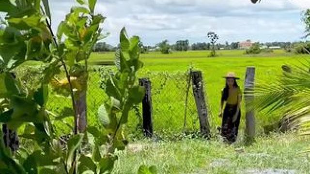 这是鲨鱼？ #东南亚特色美食#东南亚美食#户外野餐#农家柴火灶