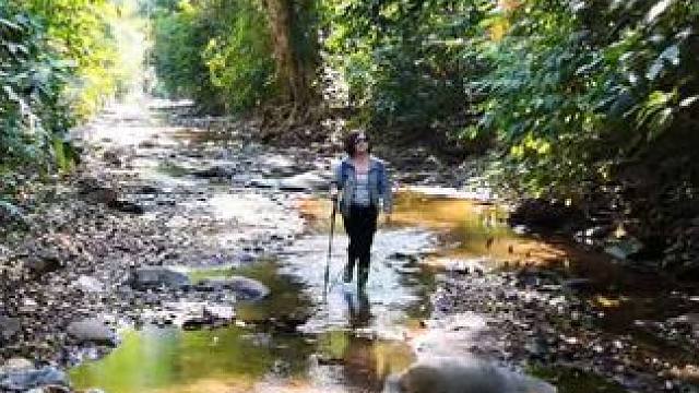 西双版纳穿越雨林 向往自由，用脚步丈量地球，感受生命律动#寻找天然缪斯女神 #捷途自由者 #西双版纳