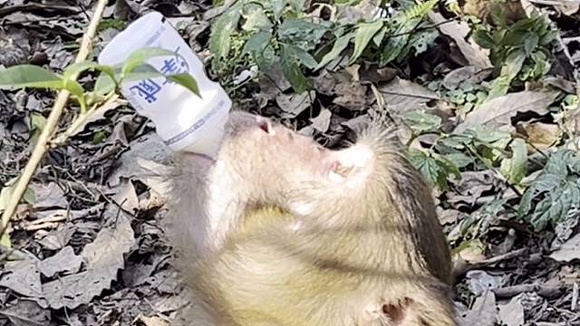 捉个奶吧 哈哈哈