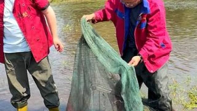 #户外捕鱼 #好多鱼