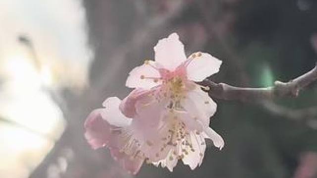 周末日常vlog#教师日常vlog #体育教师