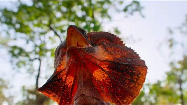 请不要艾特你的朋友，这不是他。